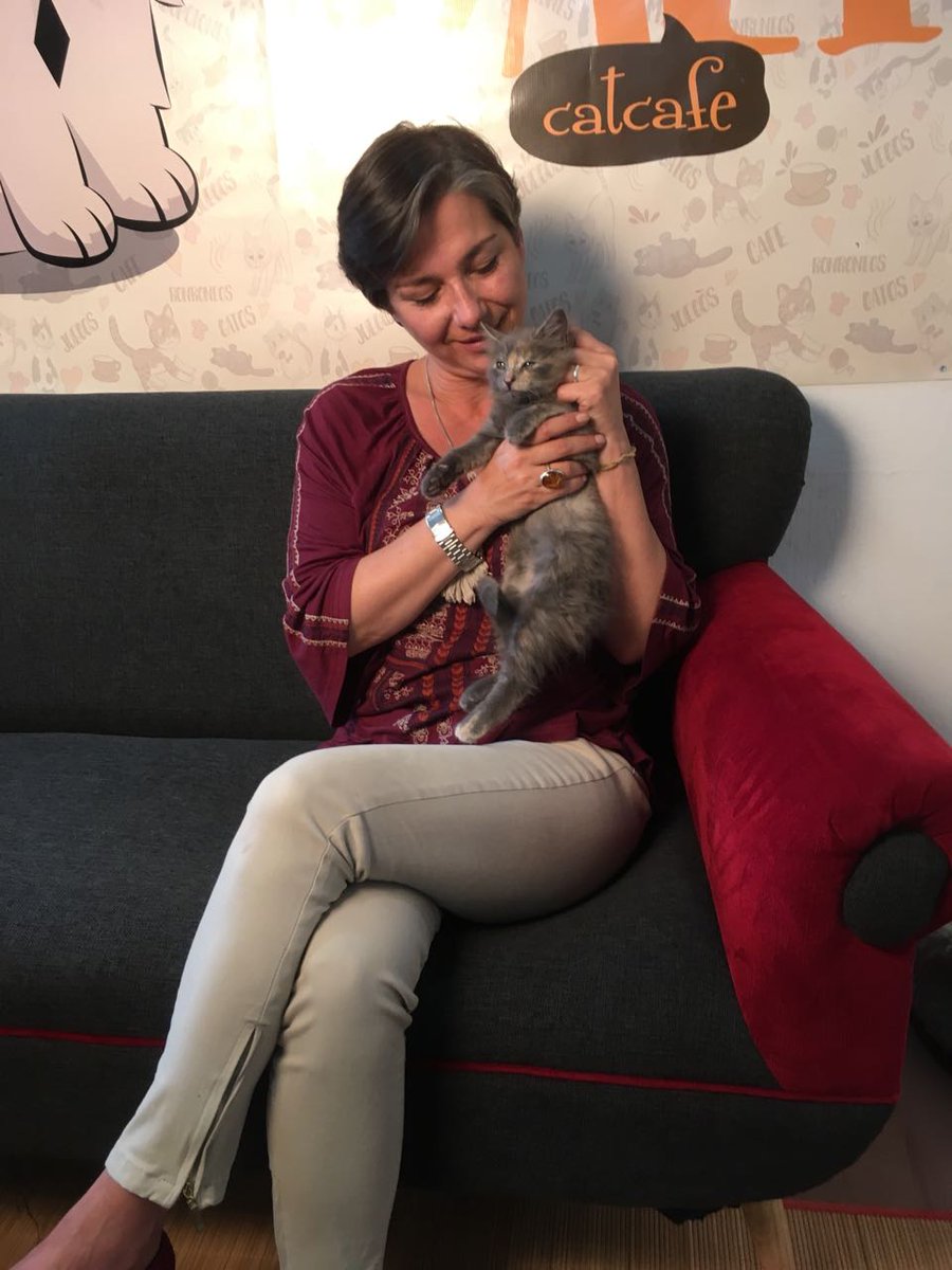 kattykowaleczko's tweet photo. Esto es sólo un adelanto de una sorpresa para el 2018!!
Junto a @clubgaterogrupo 
Pronto más noticias!! RT https://t.co/6CB5xz5m71