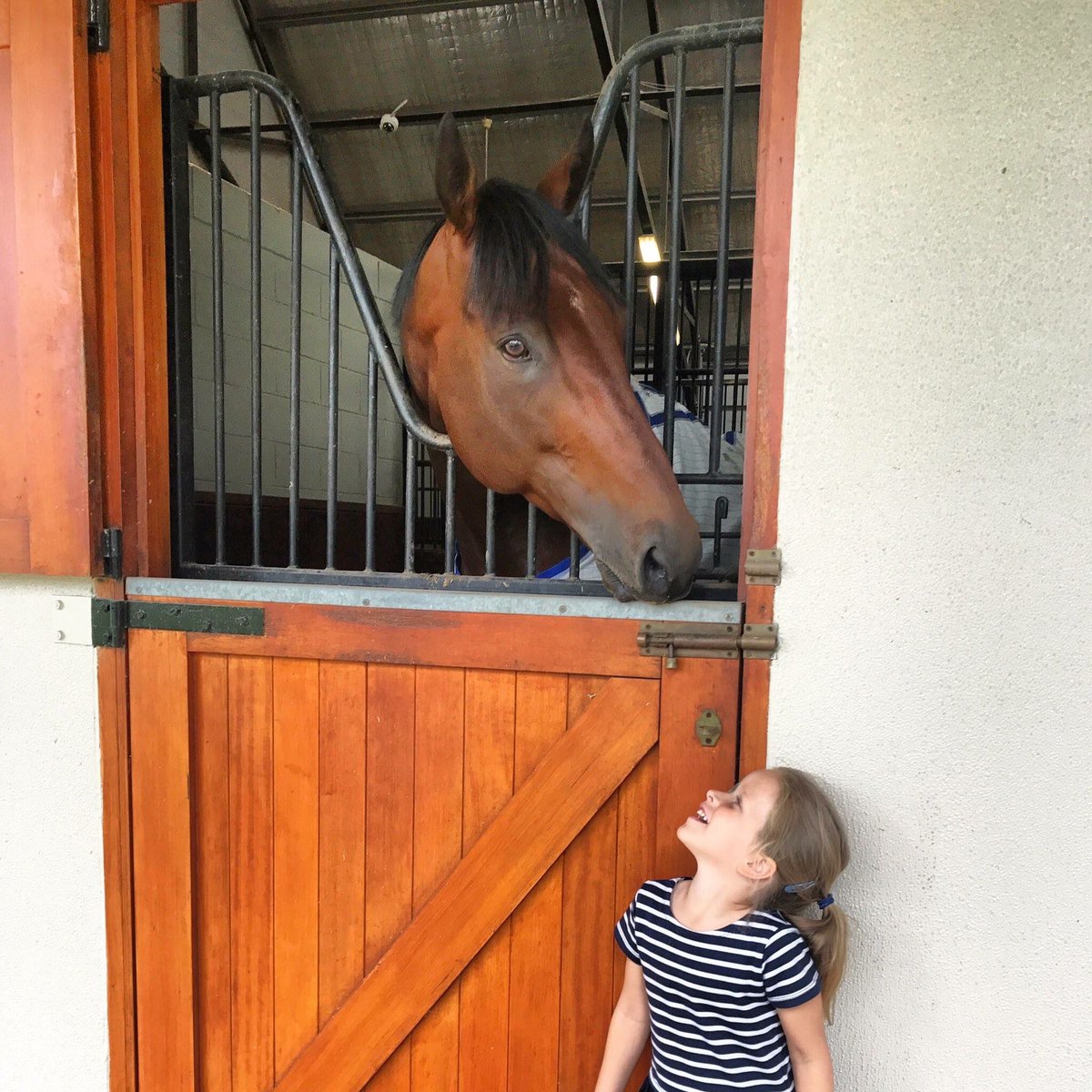 amer_pharoah's tweet photo. I am enjoying my time down at @CoolmoreAus and am doing great!! pc: @TomMagnier https://t.co/eOaPAiakHn