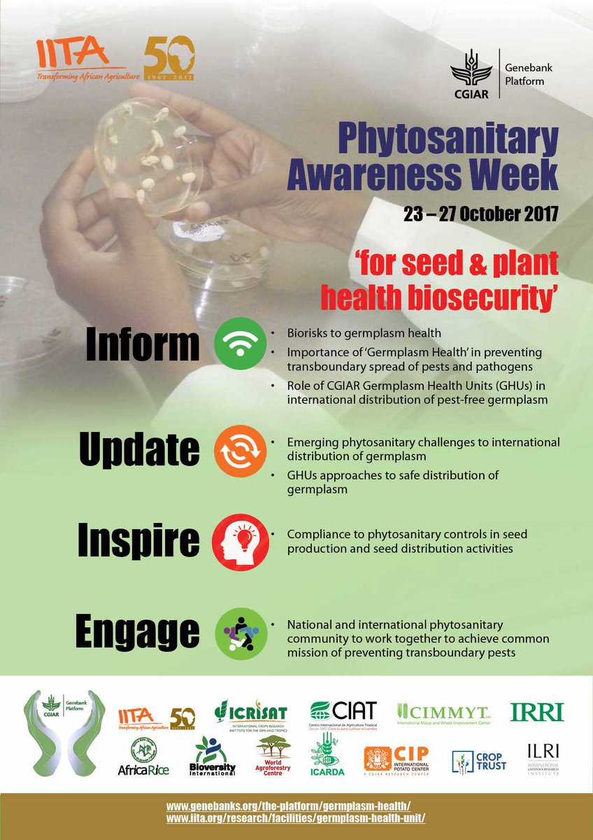 IITA_CGIAR's tweet photo. Let's celebrate this unique collaborative event of #Germplasm Health Units of 11 @CGIAR centers. Follow #CgiarGHU ➡️https://t.co/q3qpLafqHA https://t.co/z18HxuBxWv
