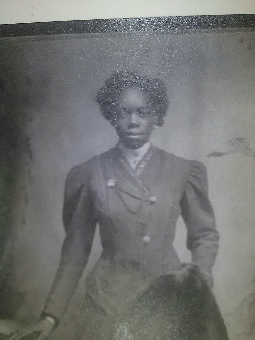 The Gist Of Freedom tweet media