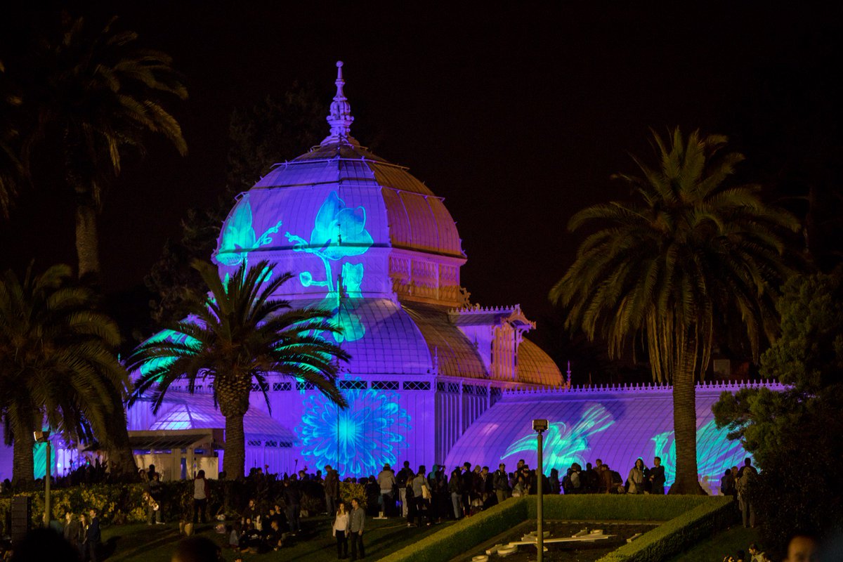 Obscura_Digital's tweet photo. We’re happy to announce that “Photosynthesis” at @SFConservatory has been extended through Nov 26. Showing nightly! https://t.co/z8tqWOnExn https://t.co/iCMH3z6pTG
