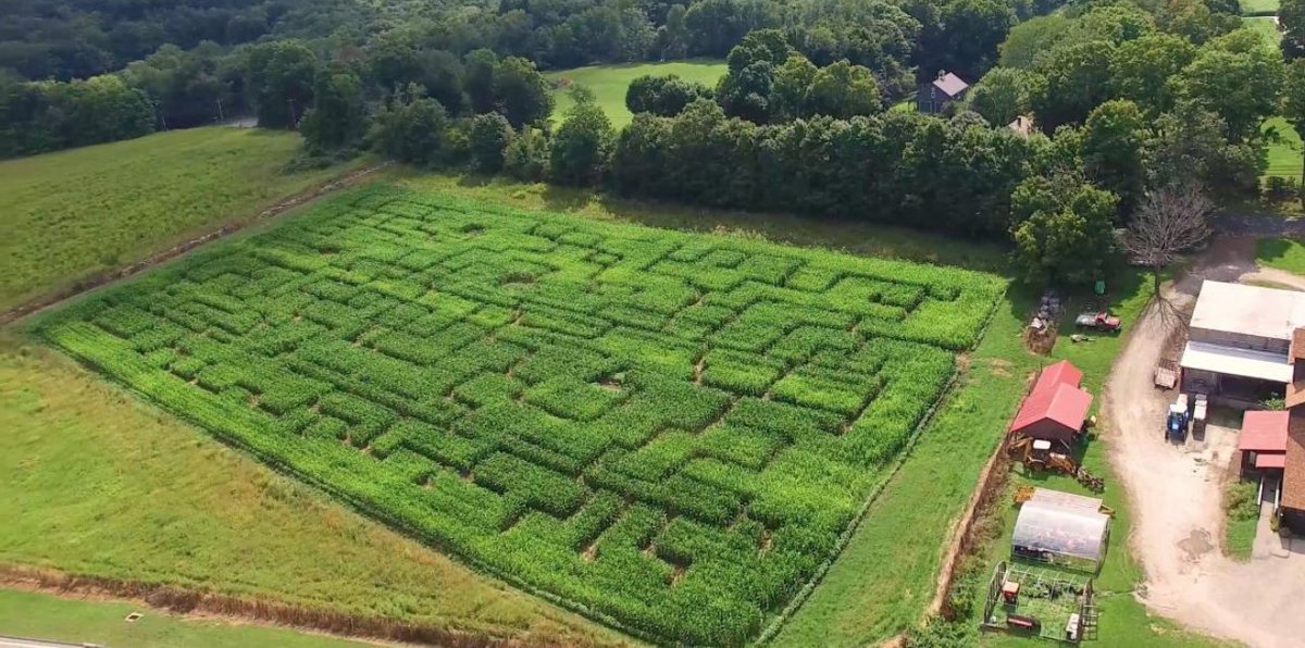 CTvisit's tweet photo. Lead your own path through a corn maze with friends this fall: https://t.co/Fp4TGpuCD3 #FindFallFaster https://t.co/INpvoRPql4