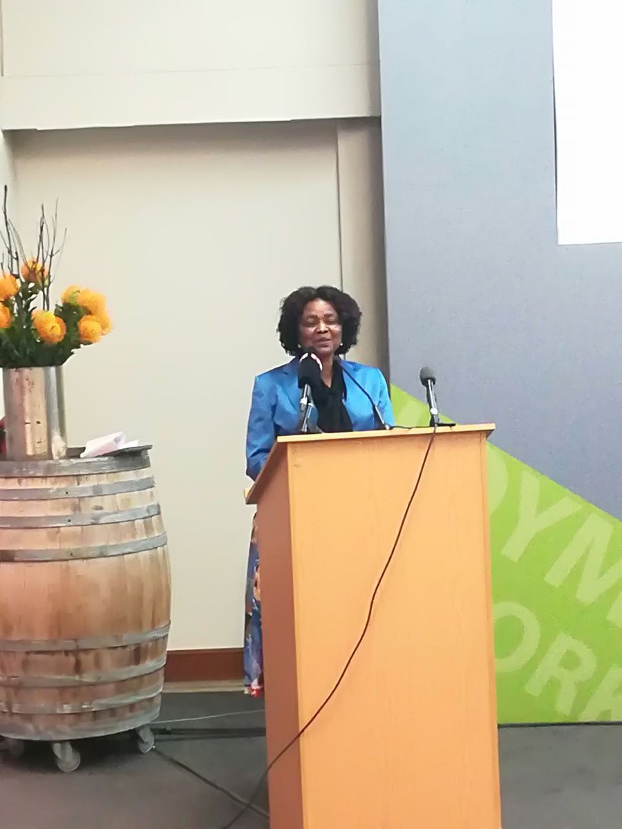 Min_Secretary's tweet photo. @HigherEduGovZA Minister @ProfMkhize addressing the gala dinner at Harambee Solutions Exchange https://t.co/K0Qwghjrzy