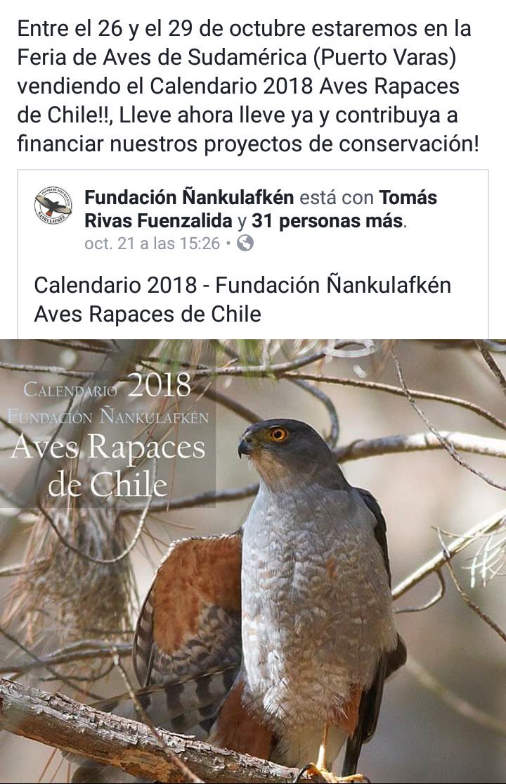 VicenteVicho's tweet photo. Estaremos en Puerto Varas! https://t.co/uktZp0Z7l5