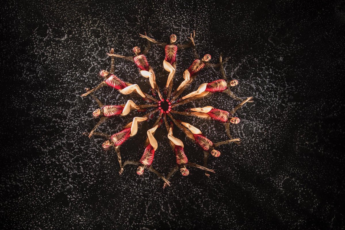 WynnLasVegas's tweet image. Daring, dramatic, and entertaining; it's easy to see why Le Rêve – The Dream was voted "Best Production Show": wynnlasvegas.com/Entertainment/…