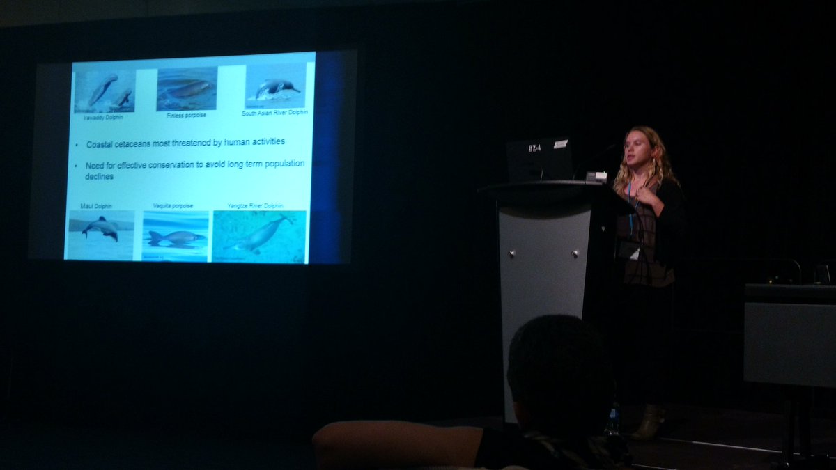 Science_w_Sulli's tweet photo. @amandaholdman is @GemmLabOSU's first presentation of #SMM2017 ! #Harborporpoise spp distribution models with #remotesense v. #insitu data https://t.co/GhL9JpLstN