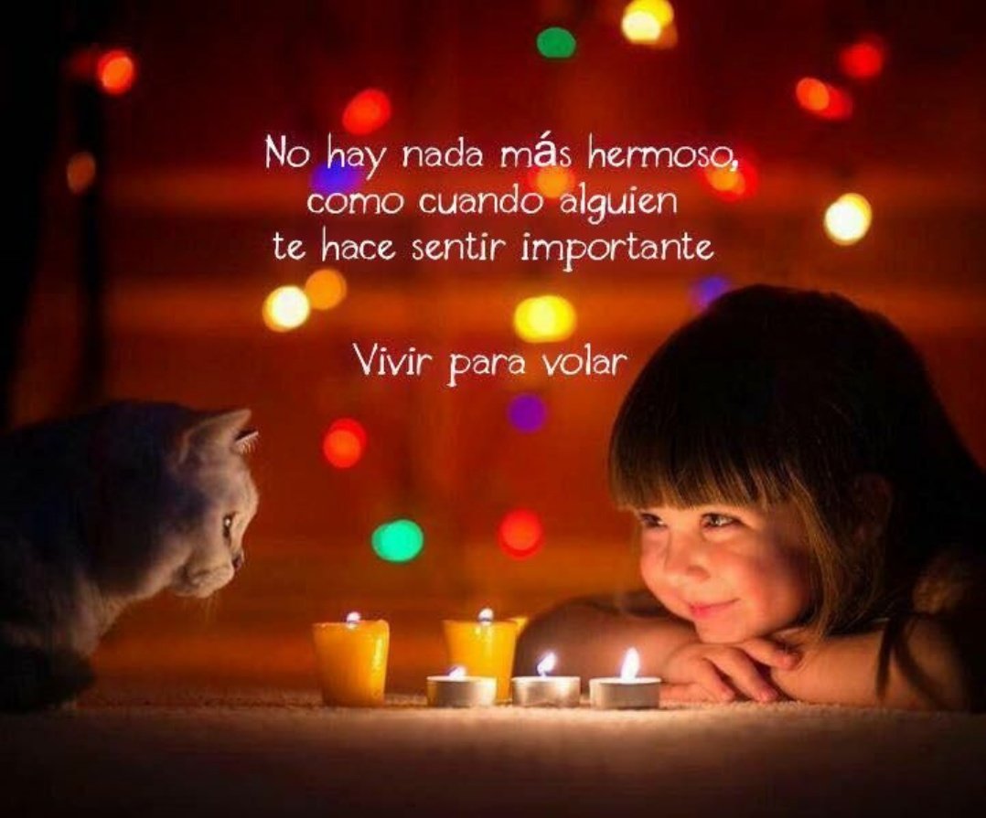 pamelu253's tweet photo. https://t.co/FTvMcsiq6N