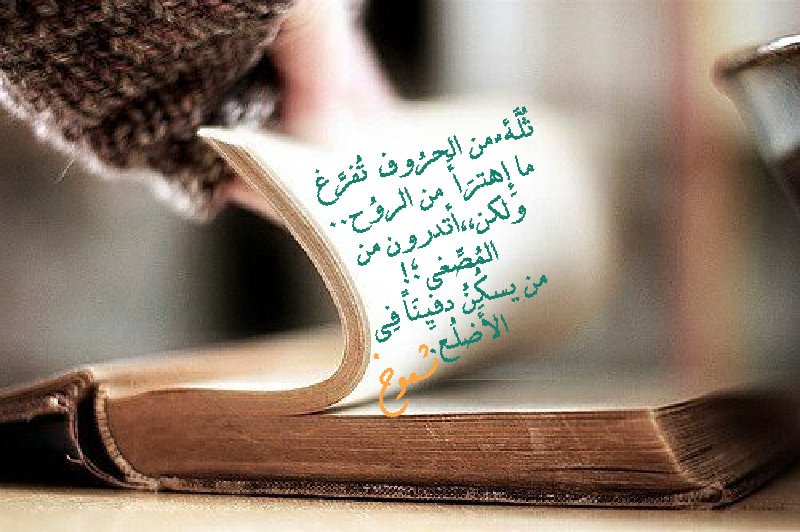 A__aton's tweet photo. ثُلَّةٌ من الحرُوف تُفرَّغ 
ما إِهترَأَ من الروُح..
ولكن،،أتدرون من المُصّغِي؛!
....
#شموخ_مداد
#إمبراطورية_الحروف
#قروب_سكر_لرتويت https://t.co/z0Fip1kdIm