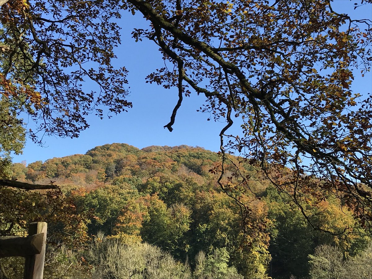 NeueGeomantie's tweet photo. Herbst am #Hohenstein https://t.co/t1kuxms1VX https://t.co/su9vAlzlLa