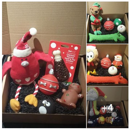 TulipTinks's tweet photo. https://t.co/2C4sC2qVUq
#buzzboxes #christmas #presents #pet #gifts #dogtoys #christmas2017 #pets #gift #squeakytoy #supportsmallbusiness https://t.co/pNsHnFu7cr