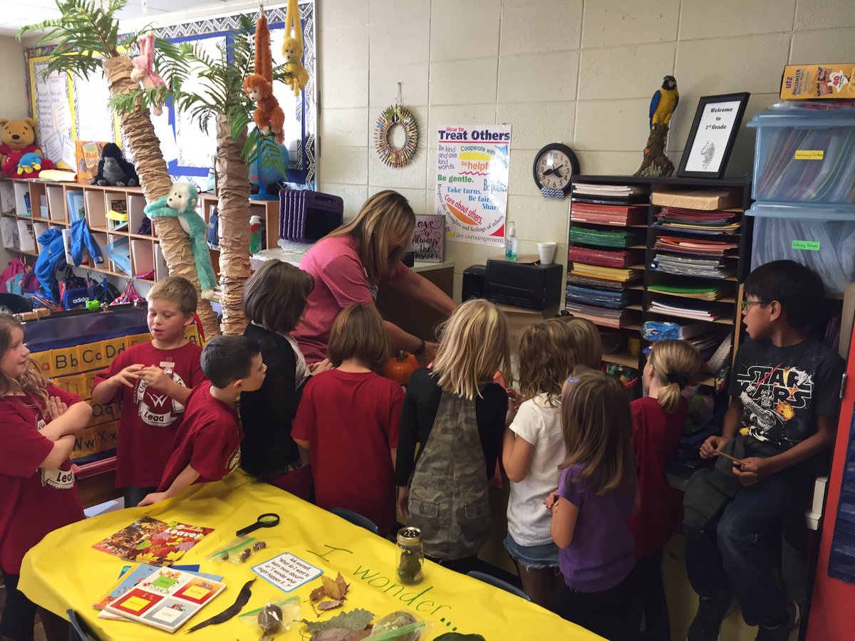 AmandaHambey's tweet photo. Will it sink or float? Pumpkin investigation in @LoriSevon1 1st grade classroom! #wnetigers #pumpkinsfloat #we💙science https://t.co/B49rc4znHK