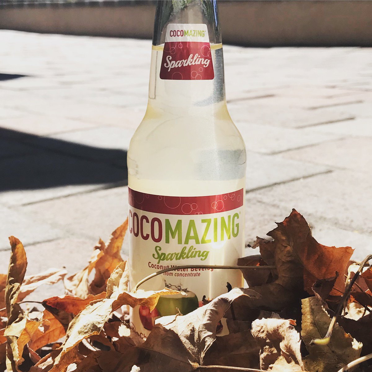 drinkcocomazing's tweet photo. Sparkle up your Fall 🍁 with Cocomazing #sipthezing https://t.co/FWNPzhiieI