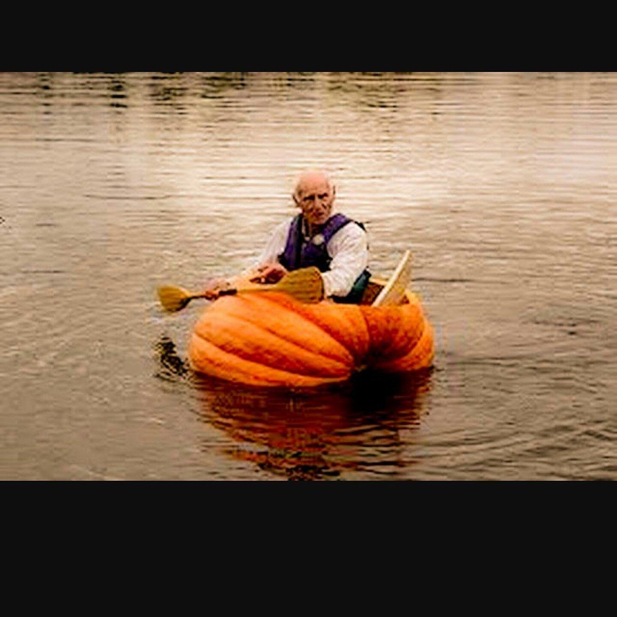 SailingHeals's tweet photo. Getting into the spirit of the season!!  #floatingpumpkin #laughingisacureforeverything #healingpowerofthesea #beatcancer https://t.co/xULXgRJKUT