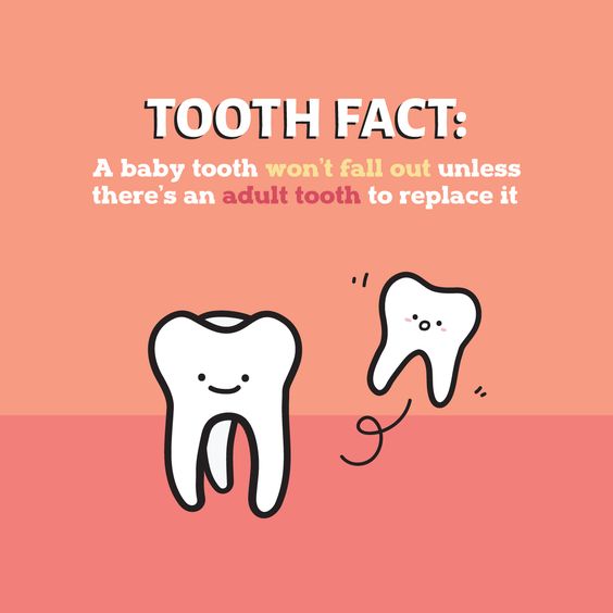 DDSStockton's tweet photo. #didyouknow #childrensdentist #babyteeth https://t.co/shK2gQNh8h https://t.co/WrsSKwBDcE