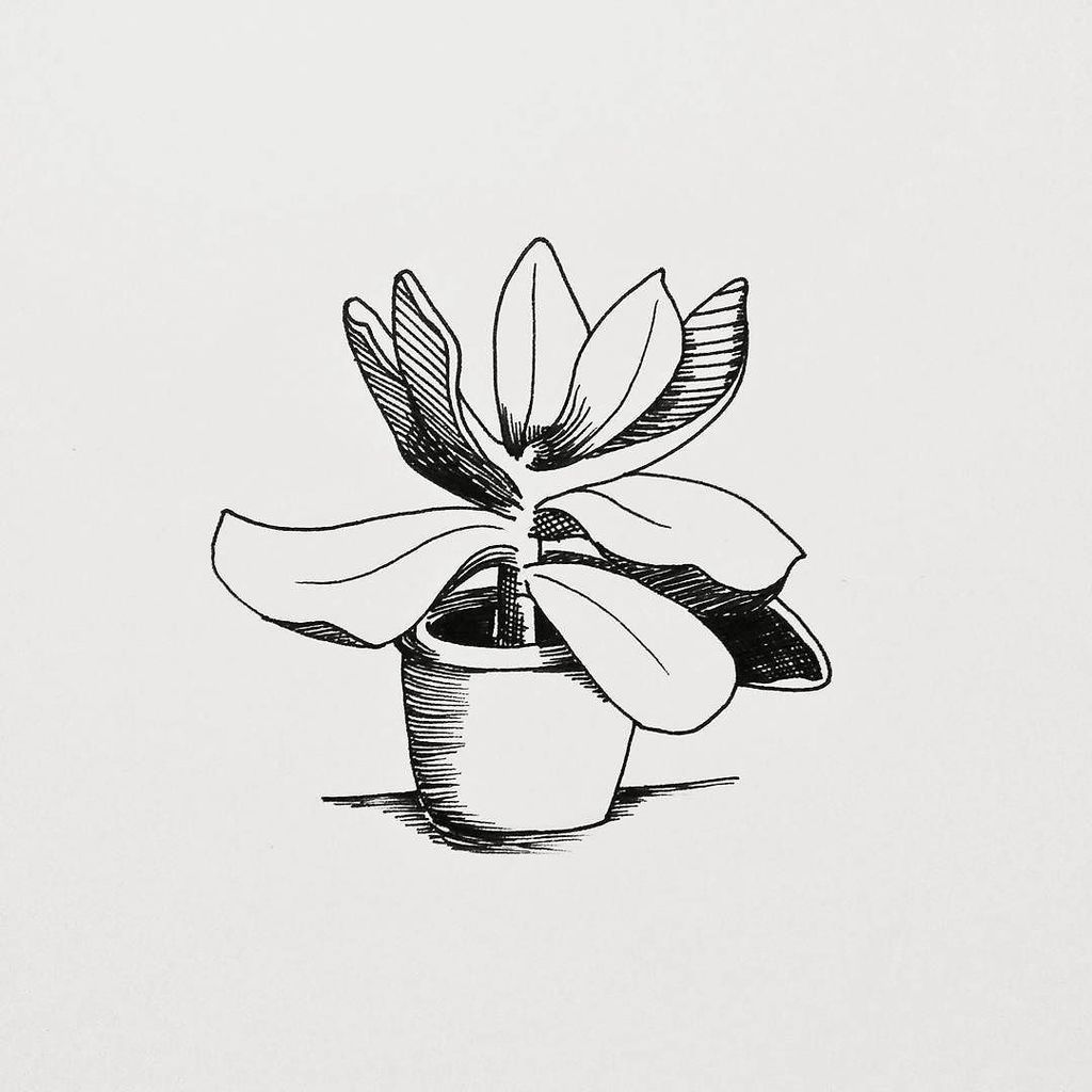 kinga_szumilas's tweet photo. Day 23: #juicy kalanchoe thyrsiflora
#inktober #inktober2017 #drawingchallenge #fineliners #draweveryday2017 #bla… https://t.co/0f7JFaWZCA https://t.co/0H5xcNXSa6