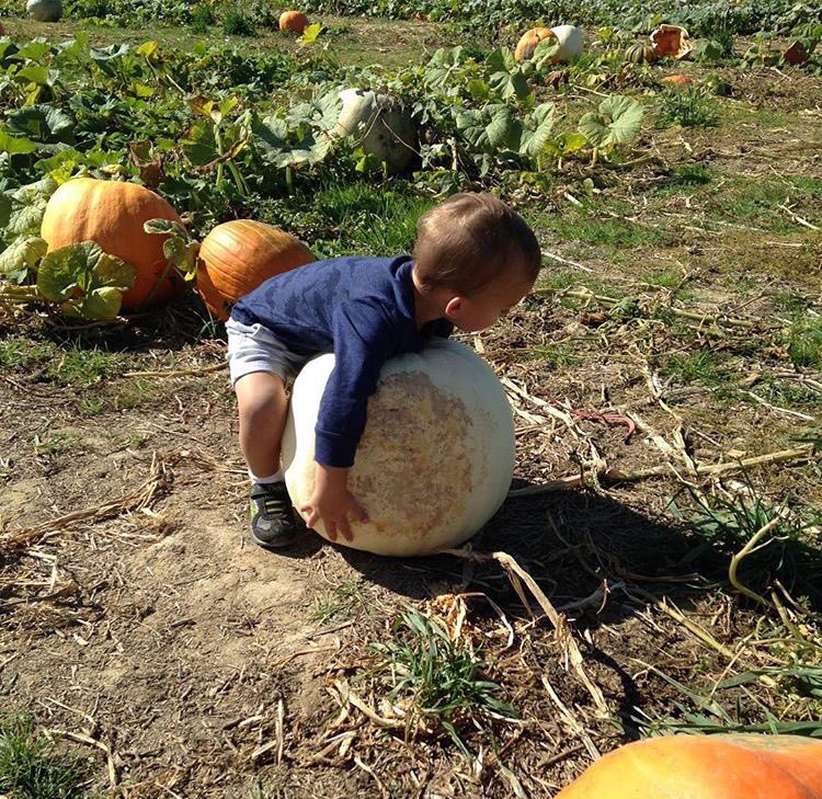 If he can lift it, it's his 😁
#monstrustmoms 
#mommy #momlife #halloweenfun
#momboss #mommasbaby #smallbusiness #momandson #mommyandme
