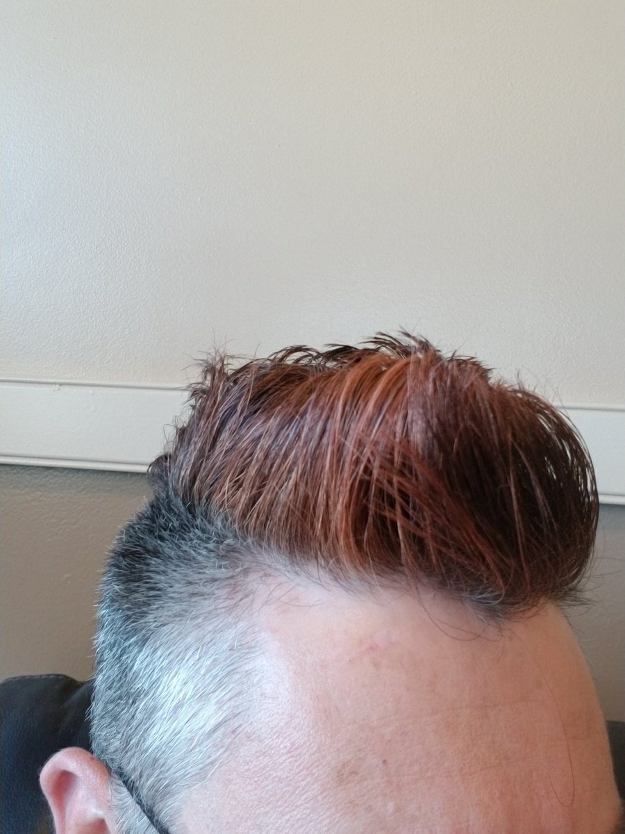 NotAssa's tweet photo. @TheIVMPodcast listened to the first episode and realized I'm a cardinal. #redmohawk #birdoftheday https://t.co/ybJ4ArlR5G