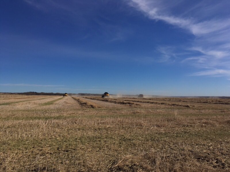 EdbergGP's tweet photo. Thanks to great community members #harvest17 for the @Foodgrains #edberggrowingproject is underway! #edberggrows https://t.co/Fa2pMpGwLo