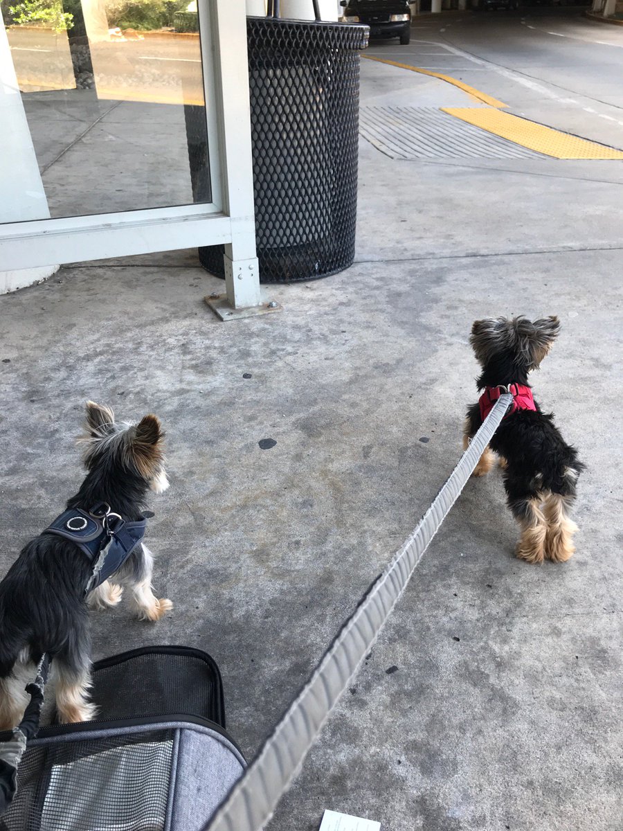 tre0808's tweet photo. Headed back to dc with #yipandyap (@ Will Rogers World Airport - @fly_okc) https://t.co/FM7NrAMIEy https://t.co/QMVKWnRJkE