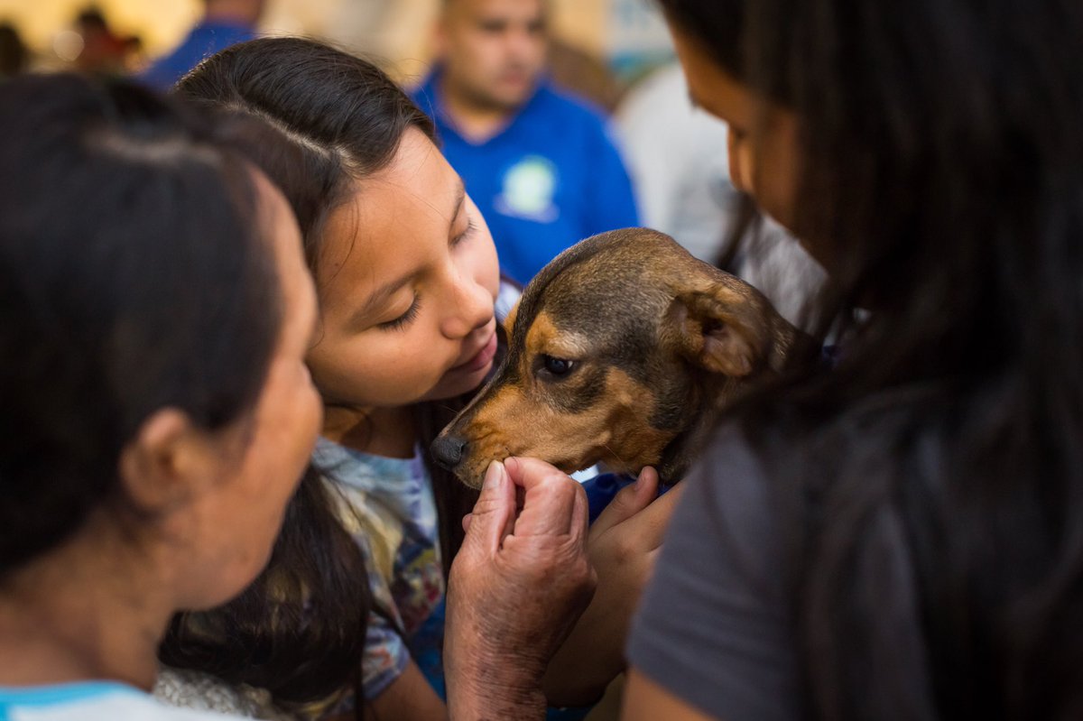 AdoptMiamiPets's tweet photo. Over 200 pets found their perfect human match during the 2017 #ASDMegaMatch adoption event at Tropical Park! 🐾❤️ #Miami #FurryFriend https://t.co/zOEtgVdftc