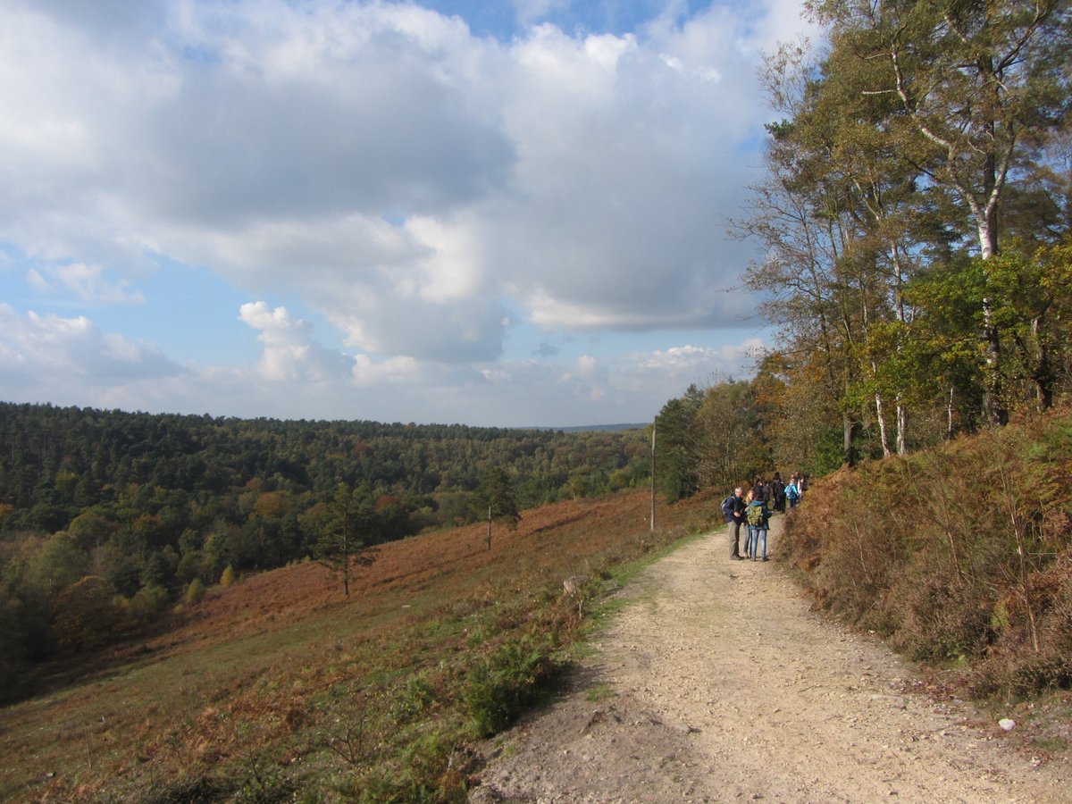 hatbirder's tweet photo. Looking forward to #MScSISS #MScWildMan #MScEntoRes trip to Leith Hill tomorrow. Doubt we'll get weather as good as 2015 but I live in hope! https://t.co/gqbAZdRR7T