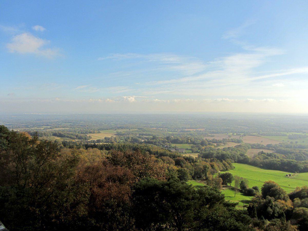 hatbirder's tweet photo. Looking forward to #MScSISS #MScWildMan #MScEntoRes trip to Leith Hill tomorrow. Doubt we'll get weather as good as 2015 but I live in hope! https://t.co/gqbAZdRR7T