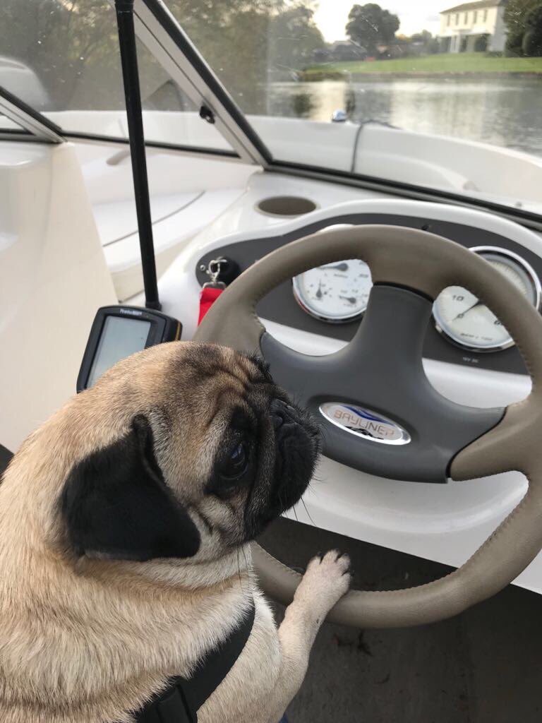 SpankandLish's tweet photo. Taking our Bayliner for a spin before we take her out for the winter https://t.co/puwtpy6ywX