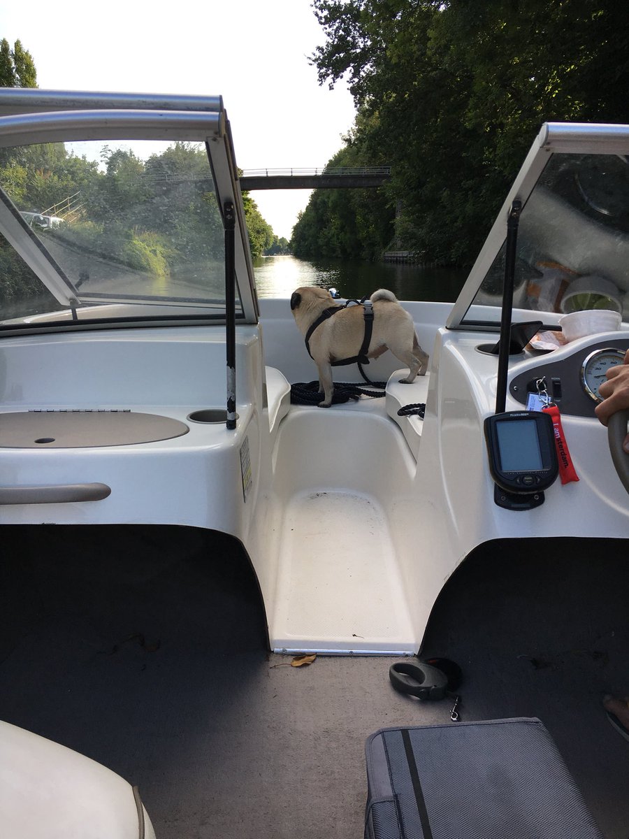 SpankandLish's tweet photo. Taking our Bayliner for a spin before we take her out for the winter https://t.co/puwtpy6ywX
