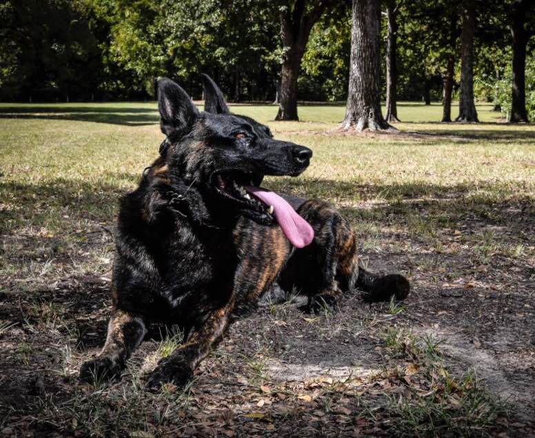 DFWscanner tweet picture