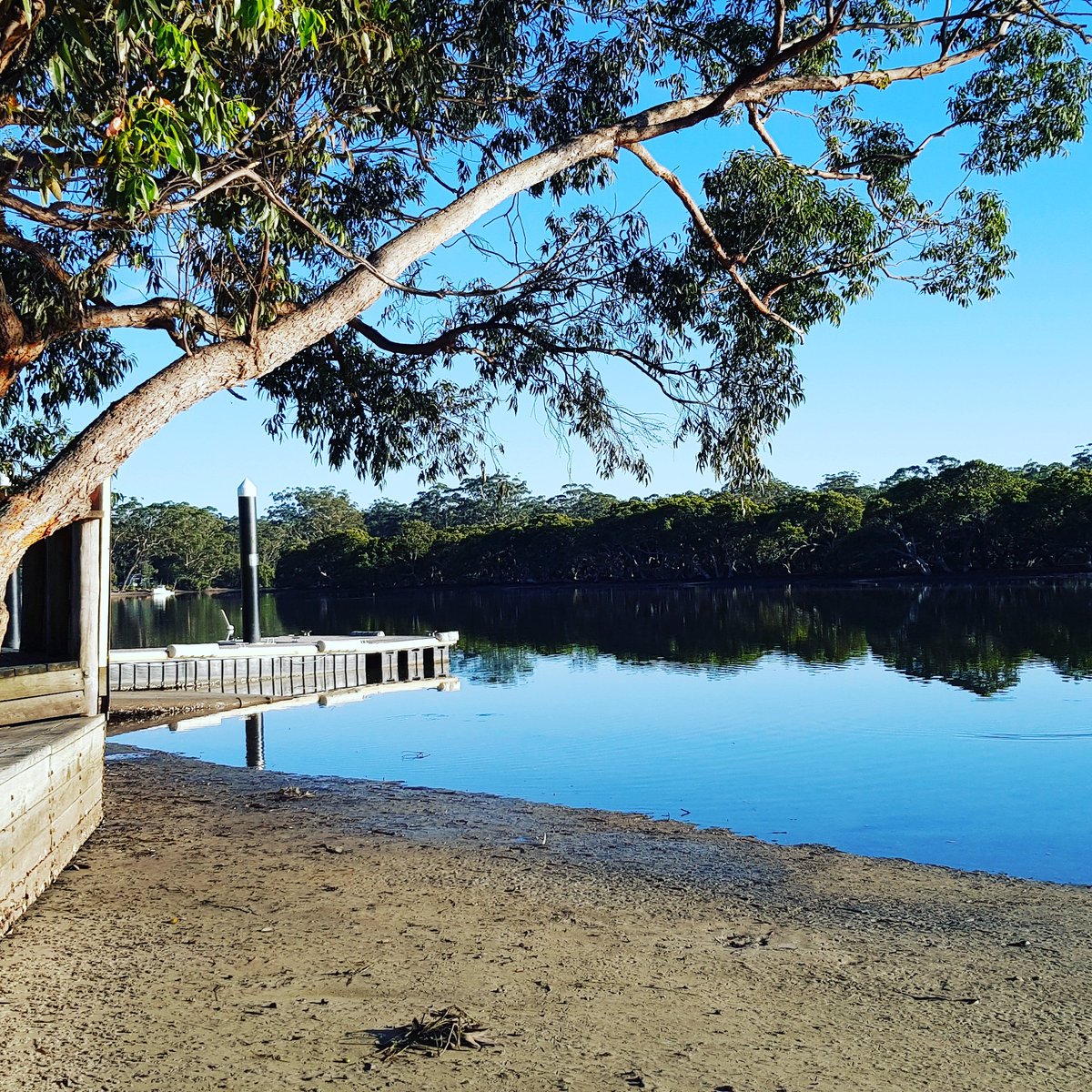MotherOfRays's tweet photo. Good morning #JervisBay. Ready for another day of #elasmoscience #sharkscience #stingrayscience @FishLab_MQ @MQSciEng @MQBiology https://t.co/62HUVF42gO