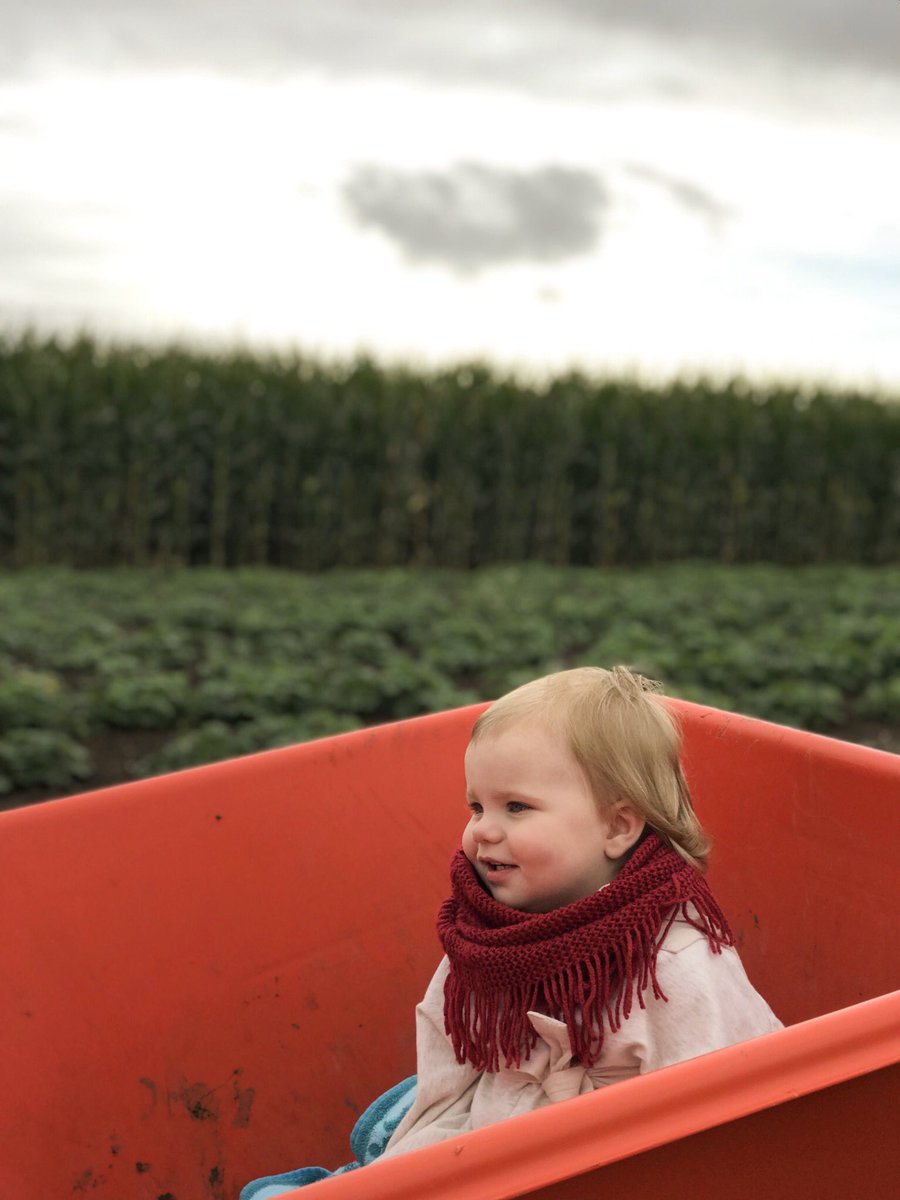 alyson_mcintyre's tweet photo. 🌽🎃🌻 https://t.co/scLvGBhAJ0