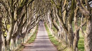 RosHawes's tweet photo. @GameOfThrones location tour https://t.co/HlVZ6vN4A0