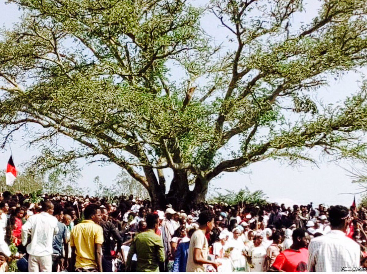 LetuBushan's tweet photo. #Irreecha2017 Feeling proud of my people who are reviving their buried cultures, rituals , symbols of unity after 68 years in Mendi, W/Walg. https://t.co/LwOOZhJ5or