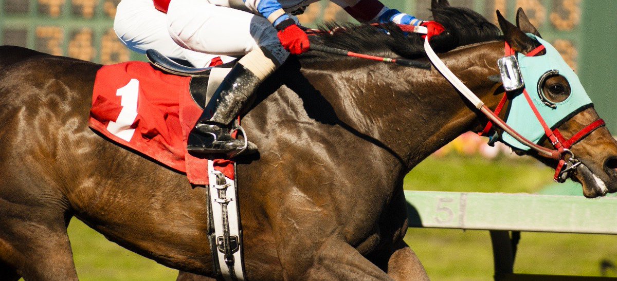thegembagroup's tweet photo. As the Spring Carnival heats up, Gemba's Strategy team expose the youth problem that could cost racing millions 
https://t.co/U1EGBZdzja https://t.co/2PgrWoVRkK