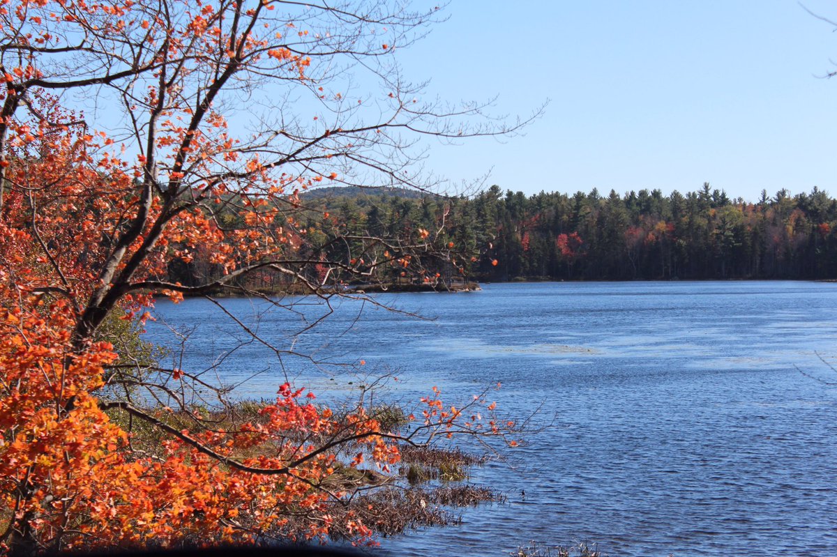 alexbeall's tweet photo. #fall has arrived in #NewEngland 🍁🍂 from last week's hike at #MountWatatic https://t.co/mfzJvq5DgN