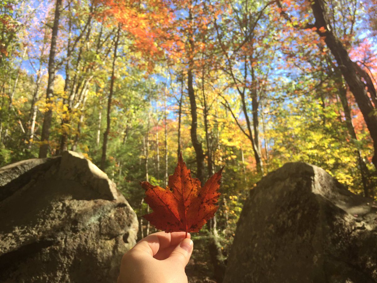 alexbeall's tweet photo. #fall has arrived in #NewEngland 🍁🍂 from last week's hike at #MountWatatic https://t.co/mfzJvq5DgN