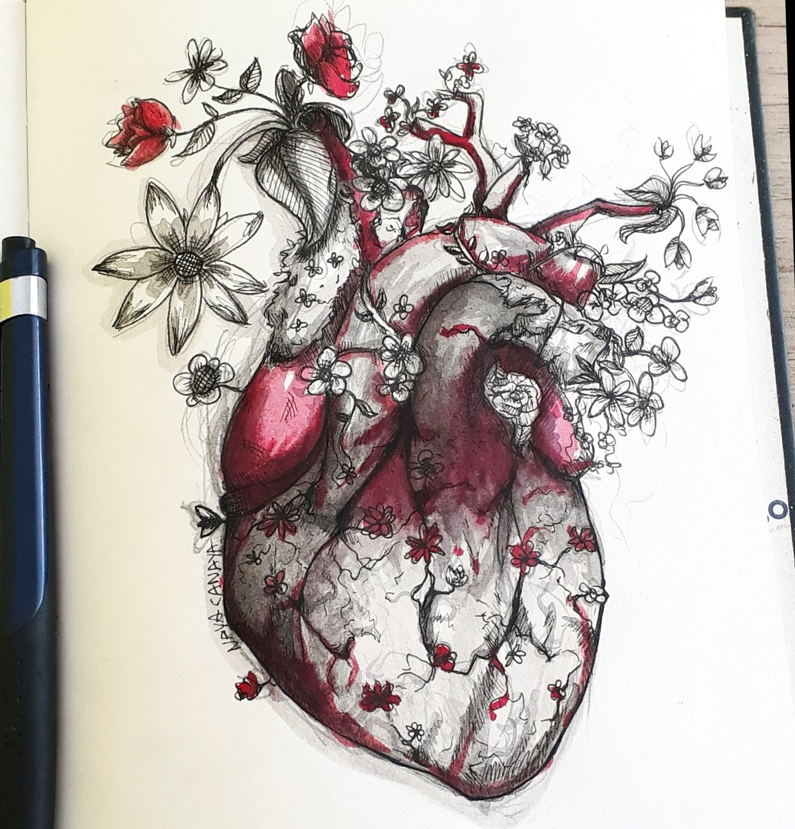 nayadraws1's tweet photo. #inktober day23. Heart 💐❤
#inktober2017 #heart #flowers #traditionalart #illustration #anatomyheart #life #brushpen #redinks #heartbeat https://t.co/GUQHBezdLW
