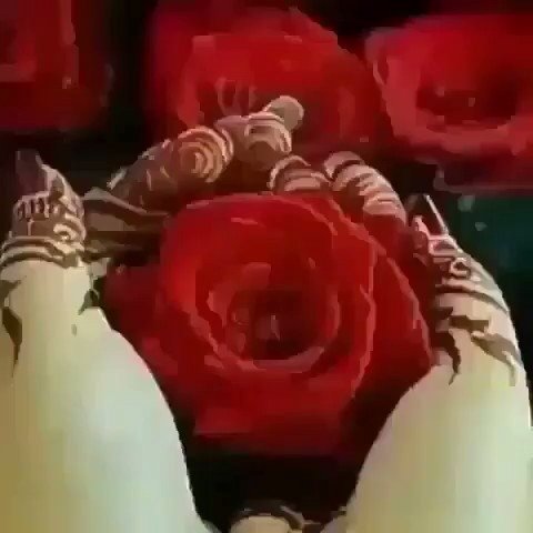 مها (@kkk66615) on Twitter photo 