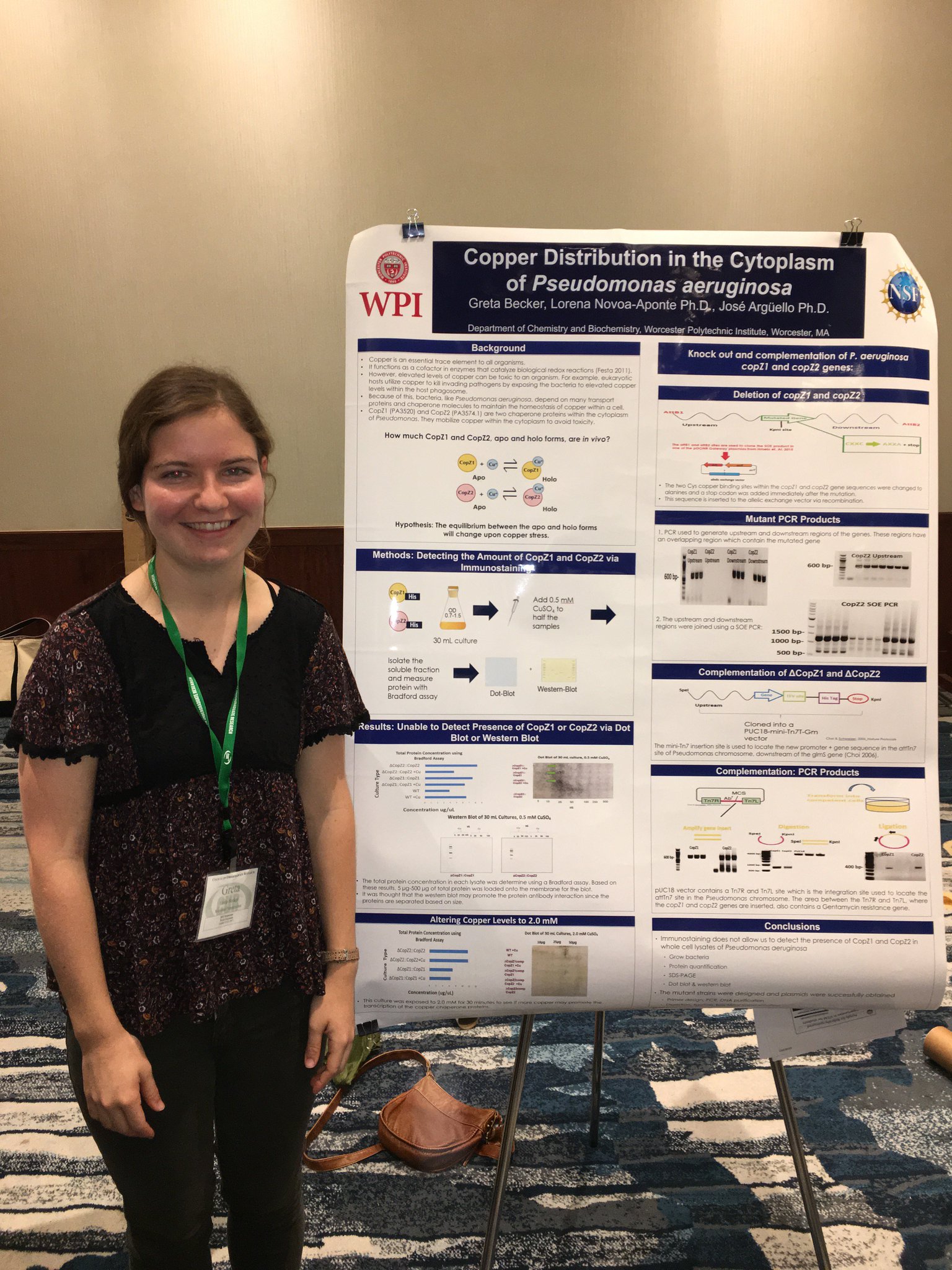 Arne Gericke Wpi Wpichembiochem Reu Student Greta Becker Presents Her Research From Arguello Lab At Council Of Undergraduate Research Conference T Co Vajrmebdpg