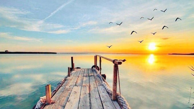 nawall19991's tweet photo. #صباح_الخير

بهدوء الصباح🌱
رَبي لٱتحرمنا من أمنيہ
 تُفرح قلوبنا ☘️
و توفيقًا ينير دروبنا وسَعادھ تذهب احزاننا https://t.co/PyQVvZssUo