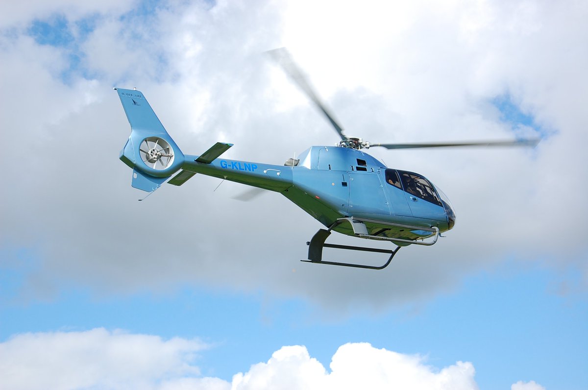 Old Buck Airshow tweet media