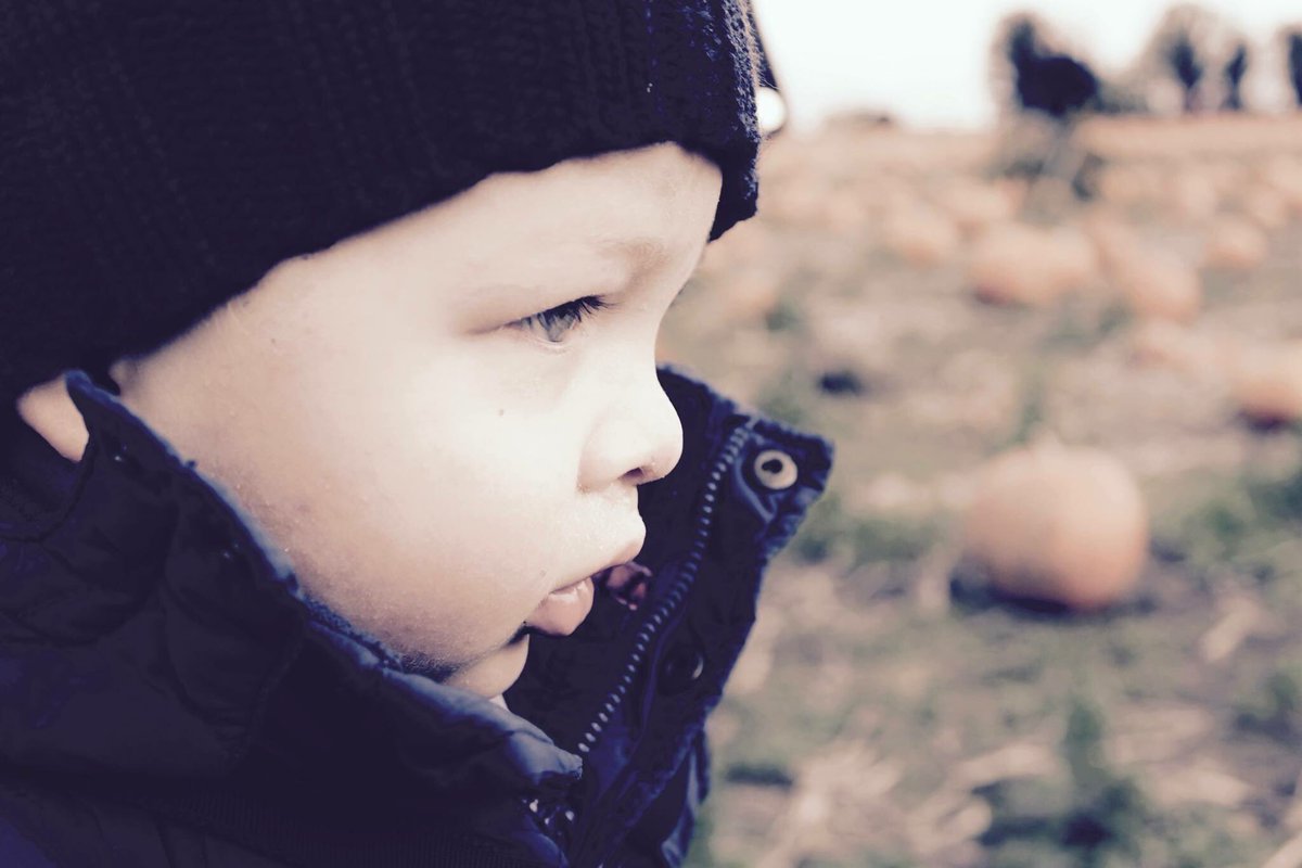 Checking out the pumpkins 🎃 at pumpkin patch on a very windy day #toddler #windy #photography
