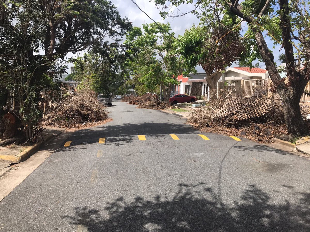 condadofashion's tweet photo. Un poco de Hato Rey al sol de hoy. Donde #LasRatasDeYulín imperan y bailan reguetón. Así es está #ElSucioSanJuan. #Nasty https://t.co/RzY94IT8Pm
