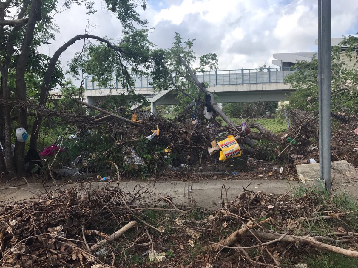 condadofashion's tweet photo. Un poco de Hato Rey al sol de hoy. Donde #LasRatasDeYulín imperan y bailan reguetón. Así es está #ElSucioSanJuan. #Nasty https://t.co/RzY94IT8Pm