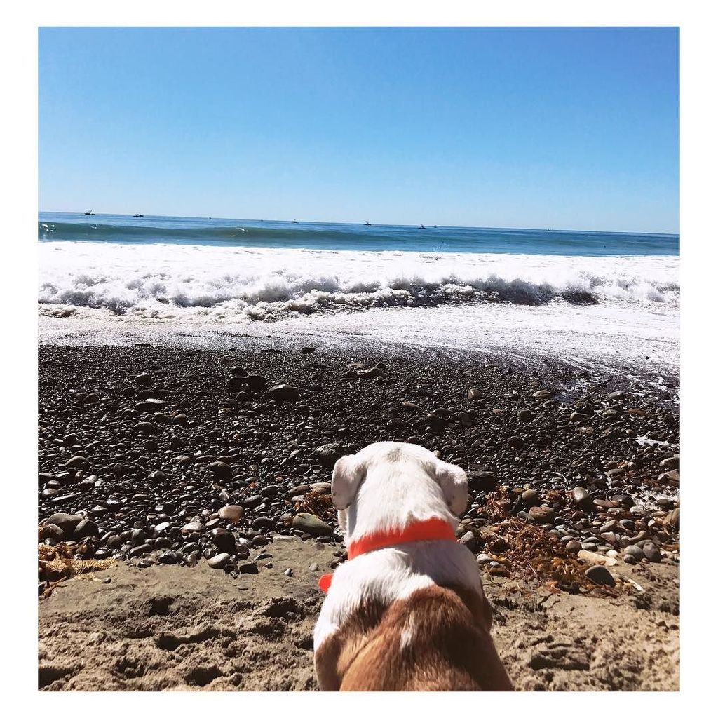 DM2ifCDX0AAoIzA.jpg (1024×1024)