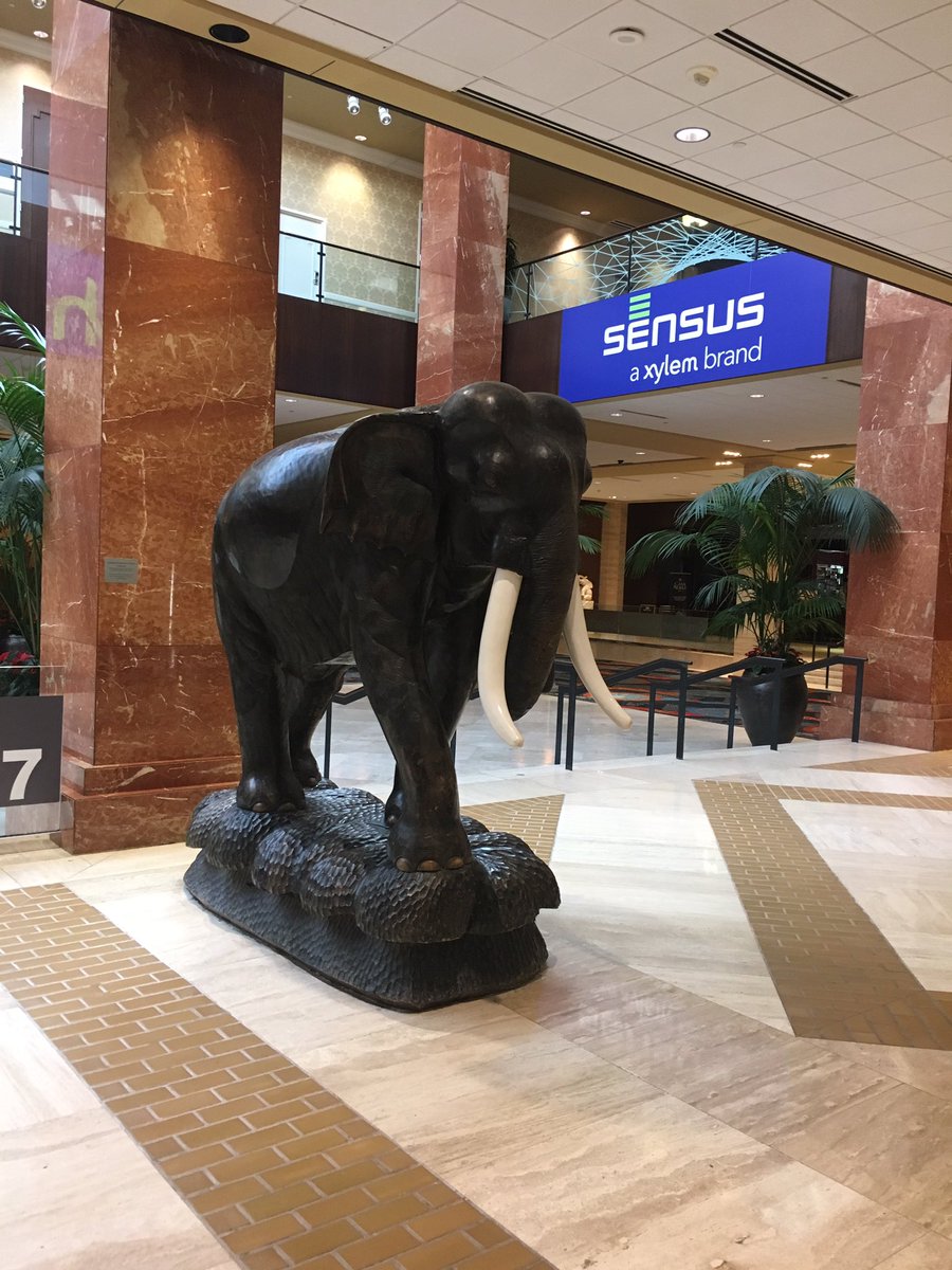 Tbriancrow's tweet photo. Lets talk about the Elephant in the room- non revenue water. #SensusReach https://t.co/oxoGXLhCIL