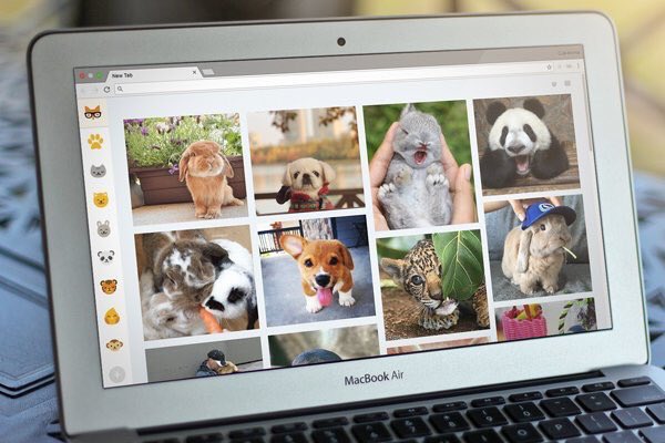 OnlyAnimalStuff's tweet photo. We run an app that shows you cute animals every time you open up your browser!

Check it out: https://t.co/DgGBAOUK2v https://t.co/0YOtvcfj7C