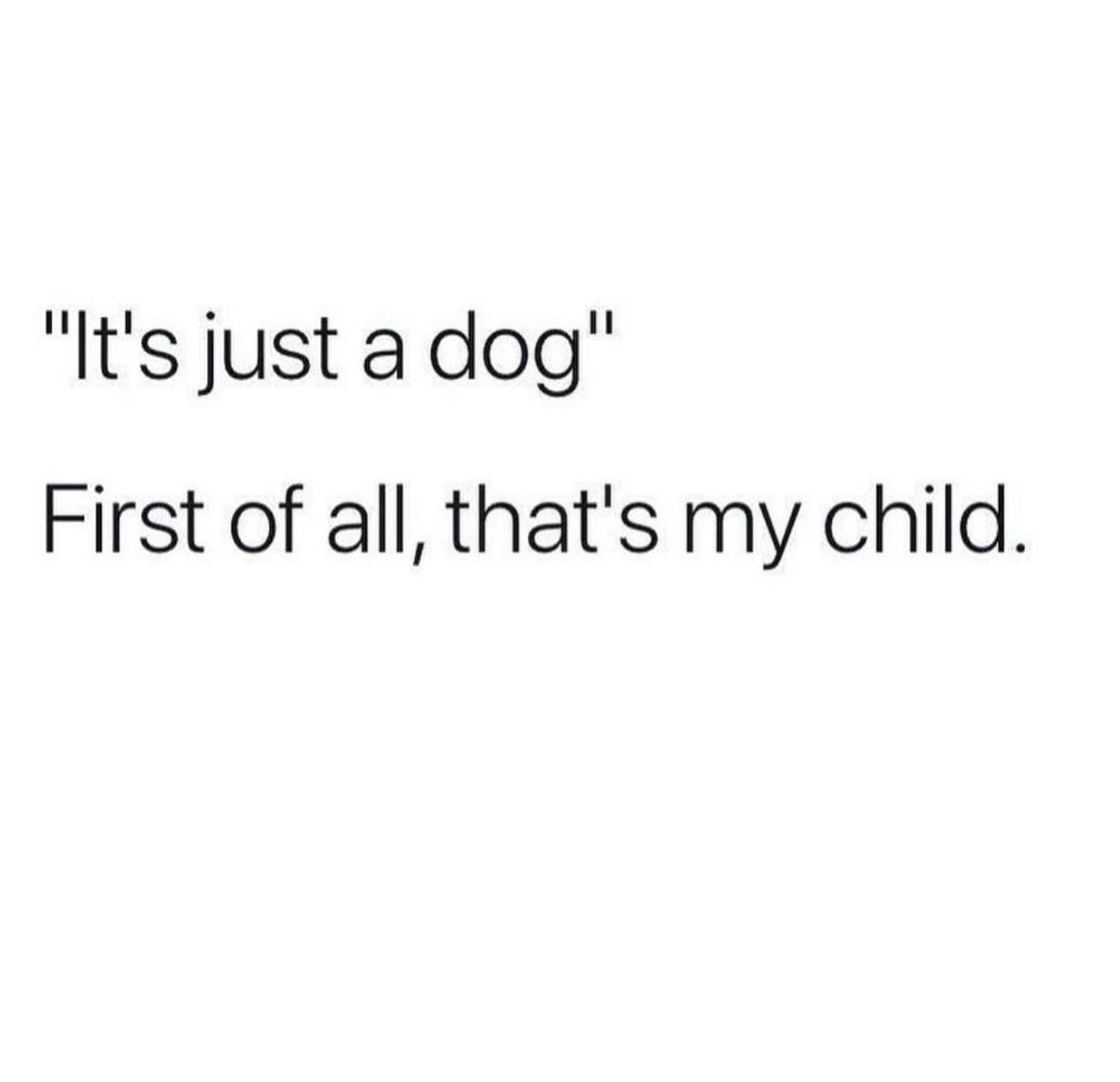 womenshumor's tweet photo. Dogs are children too. https://t.co/IaIfRFL49G