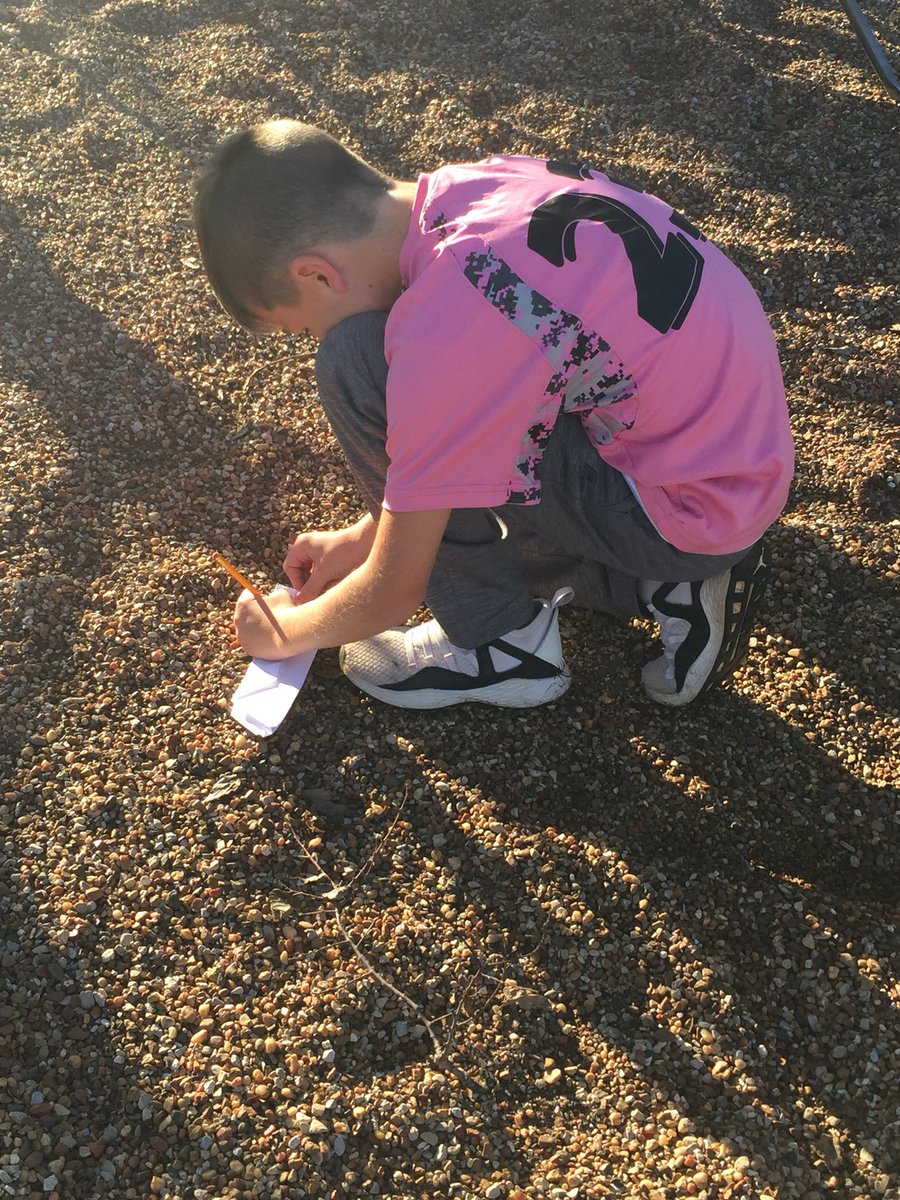 chill_hill2's tweet photo. Today our fourth graders flew Preposition Paper Airplanes outside. They loved it!@CarlyGuilliams @jagsofjefferson #inthetree #greatlesson https://t.co/40ZF5XZTn6