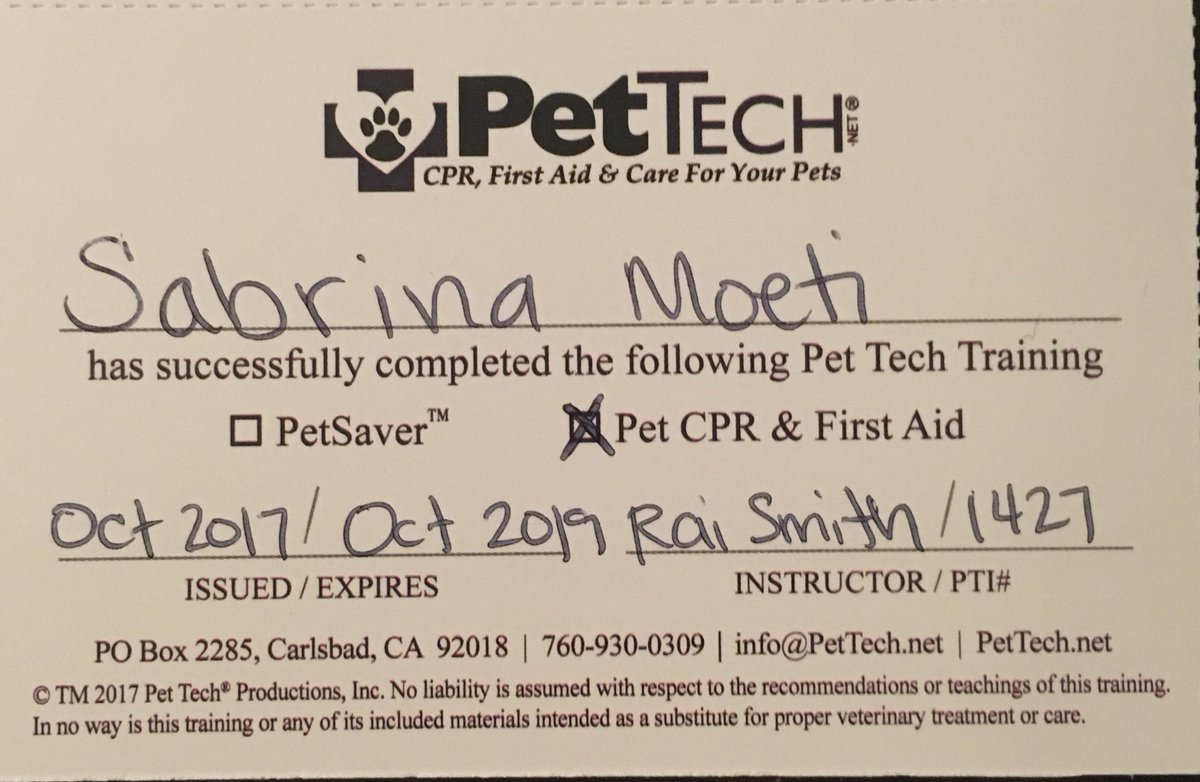 AZPetSitterPro's tweet photo. Thank you Rai for helping me update my Pet First Aid and CPR certification!

#pettech #pettechcertified #pettechcprandfirstaid https://t.co/dHCJ6OaO3t